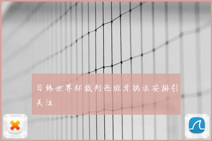 日韩世界杯裁判西班牙执法安排引关注