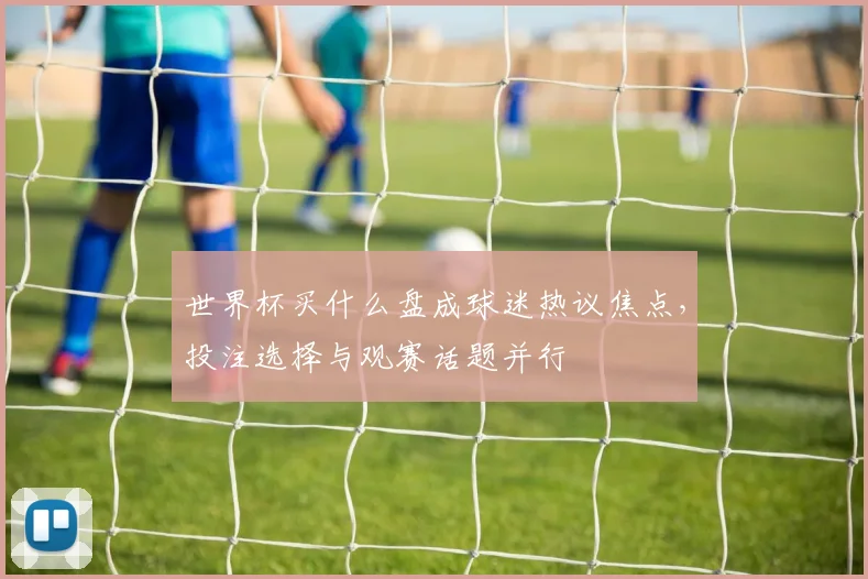 世界杯买什么盘成球迷热议焦点，投注选择与观赛话题并行