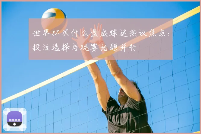 世界杯买什么盘成球迷热议焦点，投注选择与观赛话题并行