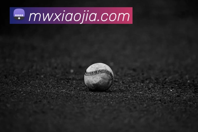 App Interface Preview