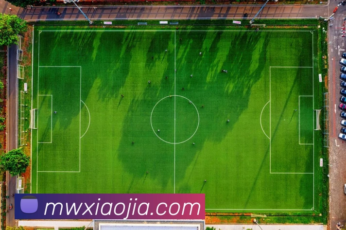 世界杯官网平台APP 封面图